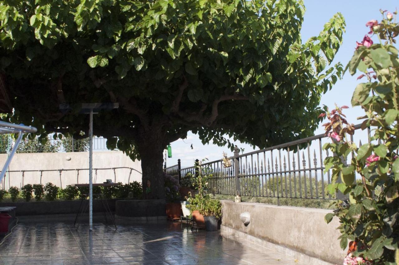 Villa Anna Nafpaktos エクステリア 写真