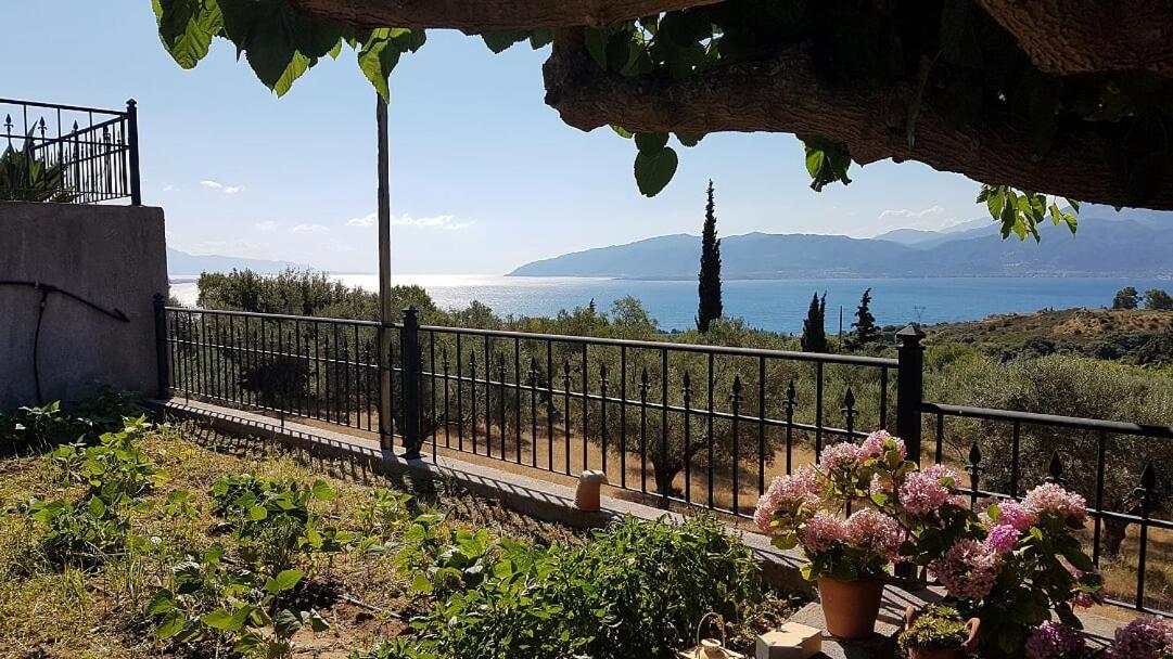 Villa Anna Nafpaktos エクステリア 写真