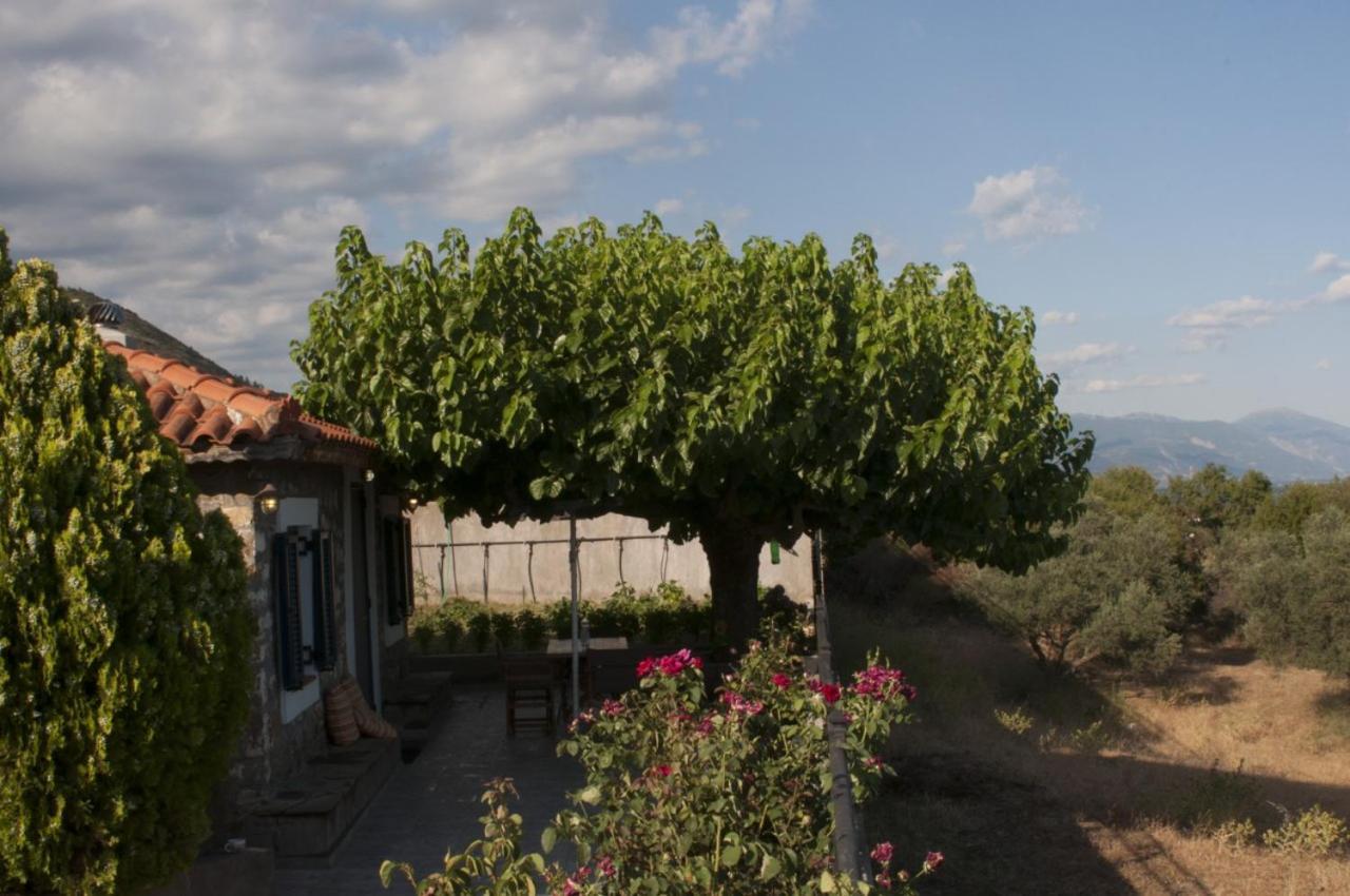Villa Anna Nafpaktos エクステリア 写真